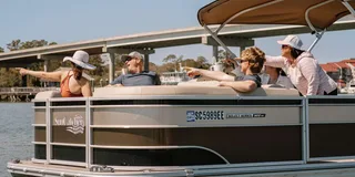 Hilton Head Dolphin Watching Tour 1.5 hr