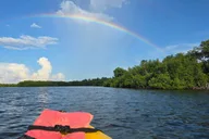 Key West Mangrove Kayak or SUP Eco Tour 2 hr thumbnail 4