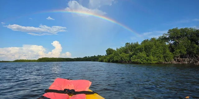 Key West Mangrove Kayak or SUP Eco Tour 2 hr - Image 4