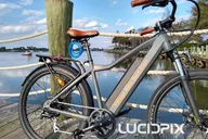 The Villages Bicycle Rental with Free Delivery thumbnail 6