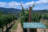 Napa Wine Tour in Private Limousine 6 hr thumbnail 6