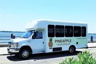 Charleston City Sightseeing Bus Tour thumbnail 4