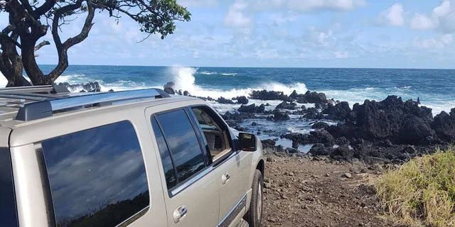 Maui Black Sand Beach and Waterfalls Tour - Image 2