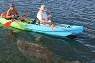 Crystal River Clear Kayak and Snorkeling Tour thumbnail 2