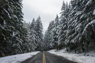 Olympic National Park Self-Guided Audio Tour thumbnail 5