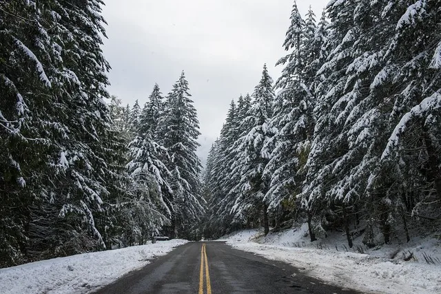 Olympic National Park Self-Guided Audio Tour - Image 5