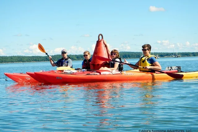 Casco Bay Sea Kayak Island Tour - Image 3