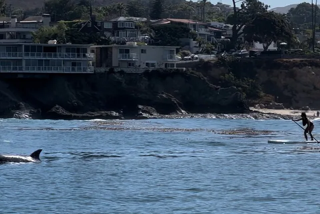 Laguna Beach Stand Up Paddle Activity 90 min - Image 2