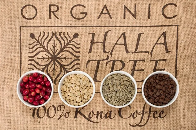 Ka'a'awa Coffee Tasting Farm Experience 1 hr - Image 4