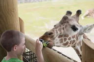 Columbus Attractions Pass thumbnail 1