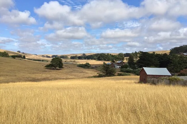 Point Reyes Agricultural Self-Guided Driving Tour - Image 6