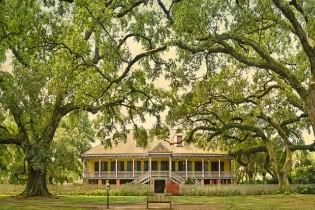 New Orleans Airboat and Plantations Tour with Lunch - Image 4