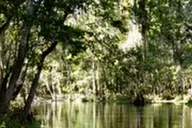 Sanford Wekiva River Kayak Tour Full-Day thumbnail 2