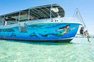 Destin Crab Island Swim Trip thumbnail 4