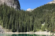 Seattle Canadian Rockies National Parks 7-Day Tour thumbnail 2