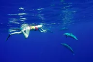 Waianae Sea Expedition 3 Hr thumbnail 4