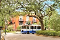 Savannah Land & Sea Combo: Trolley Tour with Riverboat Cruise thumbnail 3
