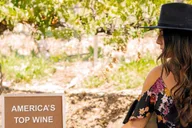 Santa Ynez Wine Tour with Picnic Lunch thumbnail 1
