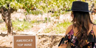 Santa Ynez Wine Tour with Picnic Lunch
