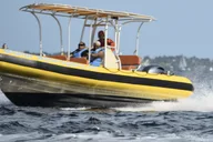 Miami Jet Ski and Speedboat Adventure thumbnail 5