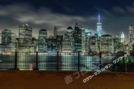 New York Night View Tour with Japanese Guide thumbnail 5