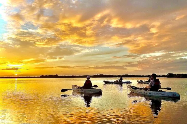 Cocoa Beach Mangrove Kayak Tour - Image 3