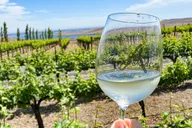 Seattle Wine Tasting Tour in Eastern WA thumbnail 4