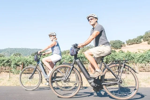 Napa Valley E-Bike Tour - Image 1