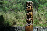 Kaneohe Jungle Expedition Tour thumbnail 6
