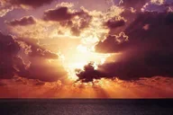 Panama City Dolphin Watching Sunset Cruise thumbnail 5