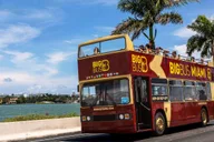 Miami Everglades, Bay Cruise & Open-Top Bus Tour thumbnail 4