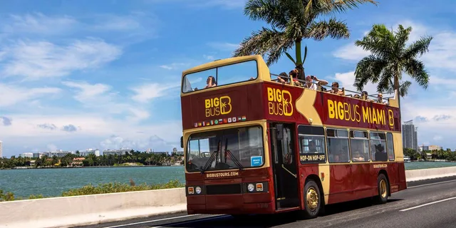 Miami Everglades, Bay Cruise & Open-Top Bus Tour - Image 4