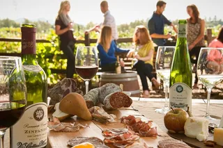 Napa and Sonoma Wine Tour from SFO