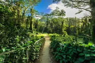 Honolulu Private Hike thumbnail 2