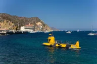 Los Angeles Catalina Island Day Trip with Undersea Adventure thumbnail 6