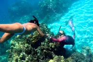Maui Guided Snorkeling Tour for Beginners thumbnail 4