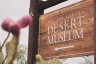 Tucson Sonoran Desert Tour with Museum Ticket thumbnail 2