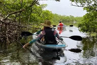 Bonita Springs Self-Guided Island Kayak and SUP Tour thumbnail 1