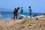Maui Surf Lesson thumbnail 4