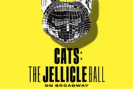 New York City Broadway Show CATS: The Jellicle Ball thumbnail 1