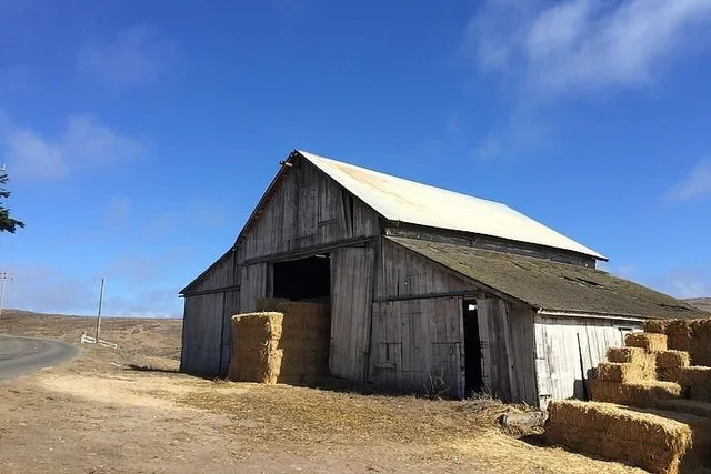 Point Reyes Self-Guided Audio Tour - Image 4