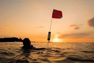 Hilo Night Dive for Certified Divers thumbnail 2