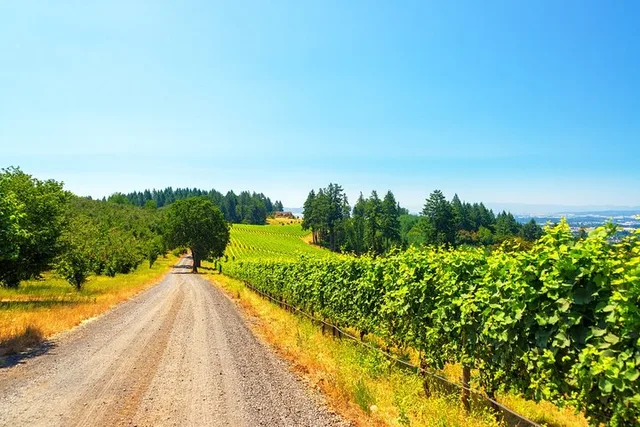 Portland Willamette Valley Wine Tour 8 hr - Image 1
