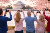 Washington, DC Cherry Blossom Cart Tour 2 hr thumbnail 6