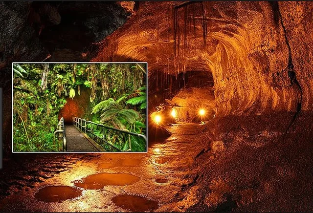 Hilo Volcano Island Tour - Image 6