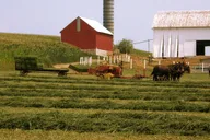 Lancaster Amish Farmlands Guided Tour thumbnail 1