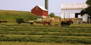 Lancaster Amish Farmlands Guided Tour