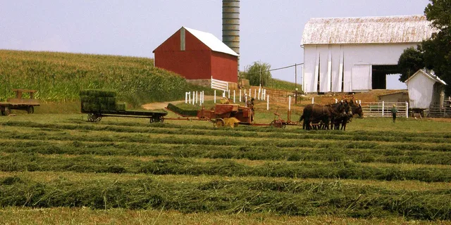 Lancaster Amish Farmlands Guided Tour - Image 1
