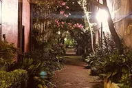 Charleston Haunted Booze and Boos Walking Tour thumbnail 3