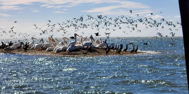 Miami Everglades Tour with Boat Trip and Hikes - Image 3